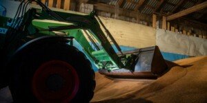 Ile za pszenicę w&nbsp;woj. wielkopolskim?