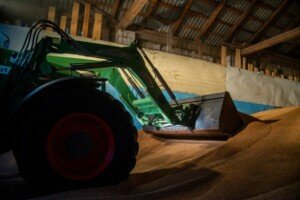 Informacje dzienne - Ceny pszenicy w woj. wielkopolskim