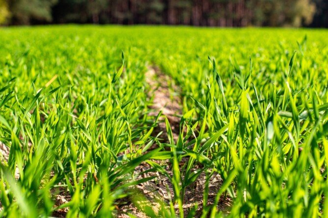 Agrofakt - Nagroda AgroBio Top 2022