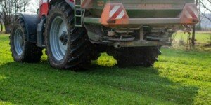 Termin nawożenia azotem na wiosnę będzie elastyczny?