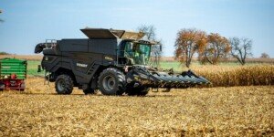 Usługi koszenia kukurydzy – jaka jest cena?