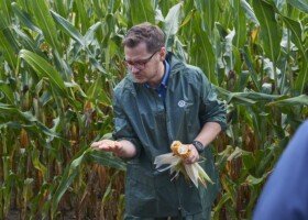 Jak osiągnąć lepsze wyniki w&nbsp;uprawie kukurydzy?