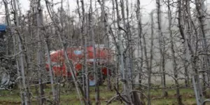 opryskiwacz sadowniczy - jabłoń - opryskiwacz Lochmann