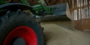 Niekontrolowany import zboża z&nbsp;Ukrainy pod lupą UOKiK