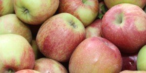 Ceny jabłek przemysłowych 16.06.2023