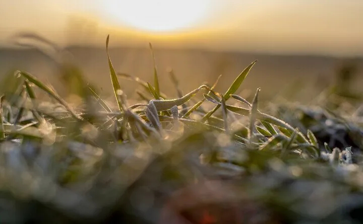Aktualności rolnicze - Konferencje Zimowe Syngenta 2023