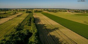 Nowe wsparcie dla rolników w ramach II filaru WPR