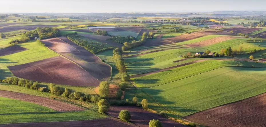 dzierżawa gruntów państwowych