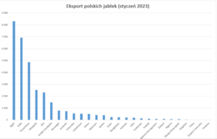Eksport jabłek w styczniu 2023