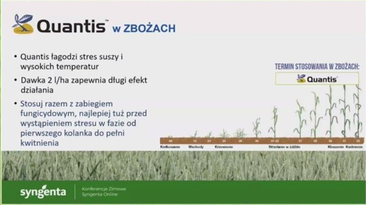 Konferencja Syngenta Zboża — czym pryskać i co siać?