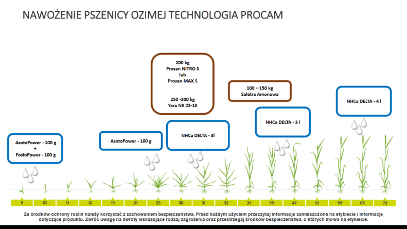 Agrofakt - Nawożenie rzepaku i zbóż