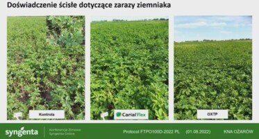 Agrofakt - Ochrona ziemniaka