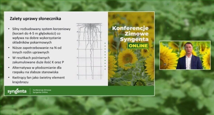 Agrofakt - Konferencje Syngenta 2023