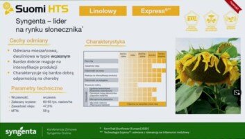 Agrofakt - Odmiany słonecznika