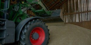 Dopłaty do przechowania zboża — od kiedy i&nbsp;ile?