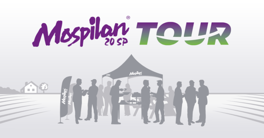 SAP - Mospilan Tour 2023 - grafika
