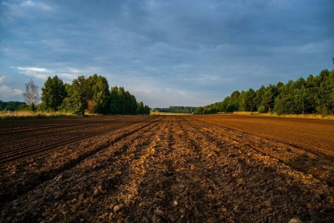 Aktualności rolnicze - czynsz dzierżawny za grunty rolne