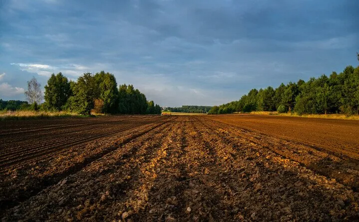 Czynsz dzierżawny za grunty rolne — jakie stawki według danych KOWR?
