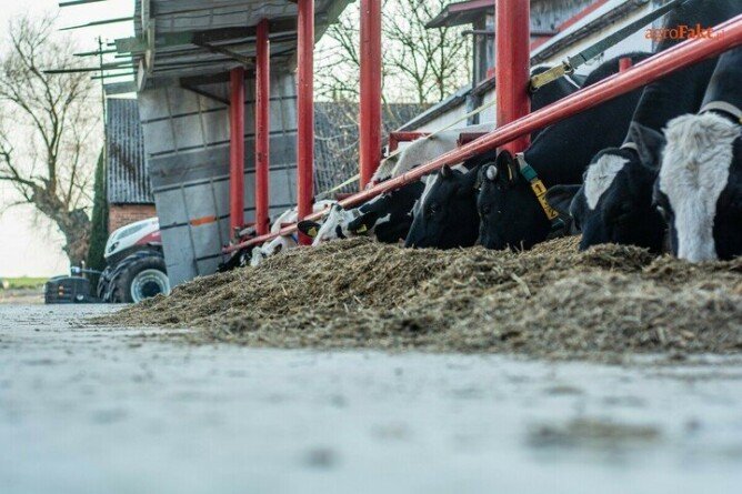 Aktualności rolnicze - Interwencyjny odbiór zwierząt