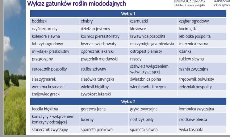 Aktualności rolnicze - Norma GAEC 8