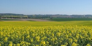 Przyszłość polskiej wsi oczami polityków. Padły deklaracje