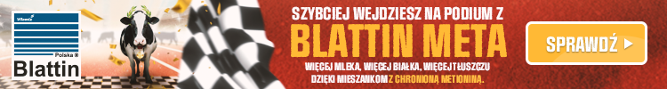 aminokwasy w&nbsp;żywieniu bydła