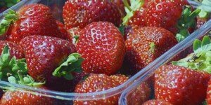 Rynek truskawki 2023 w&nbsp;Polsce i&nbsp;na świecie. Jakie ceny u&nbsp;progu sezonu?