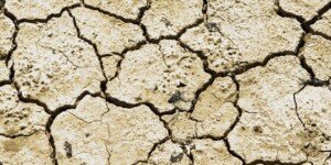 Dramatyczna susza w&nbsp;Hiszpanii. Zagrożone sady i&nbsp;plantacje