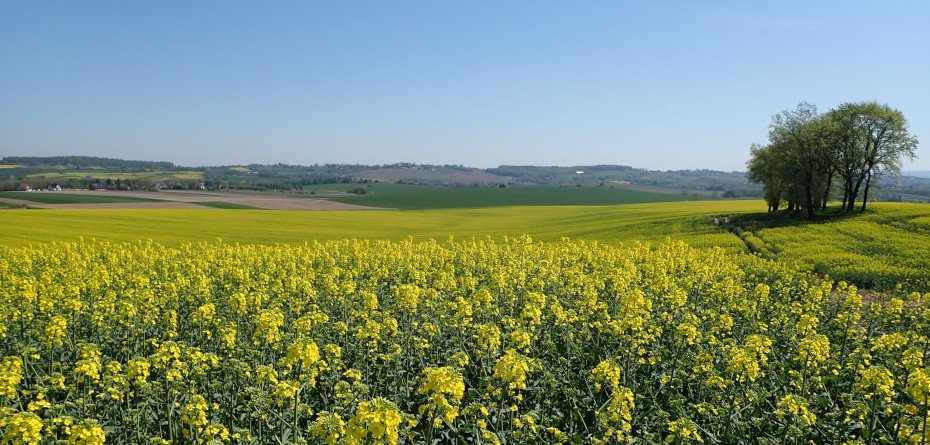 W obronie polskich rolników