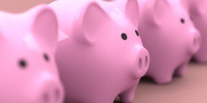 Będzie nowy fundusz dla ochrony rolników. Kiedy ruszą rekompensaty?