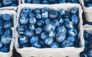 sezon-borowkowy-sprzedaż