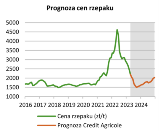 cena tony rzepaku - perspektywa cenowa - wykres