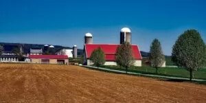 Czy będą dotacje na silos wybudowany od 30 marca 2023?