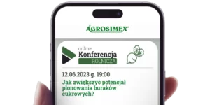 plonowanie buraków cukrowych - konferencja