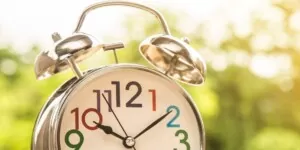 Bliski termin składania wniosków. Dopłaty do pszenicy i&nbsp;inne