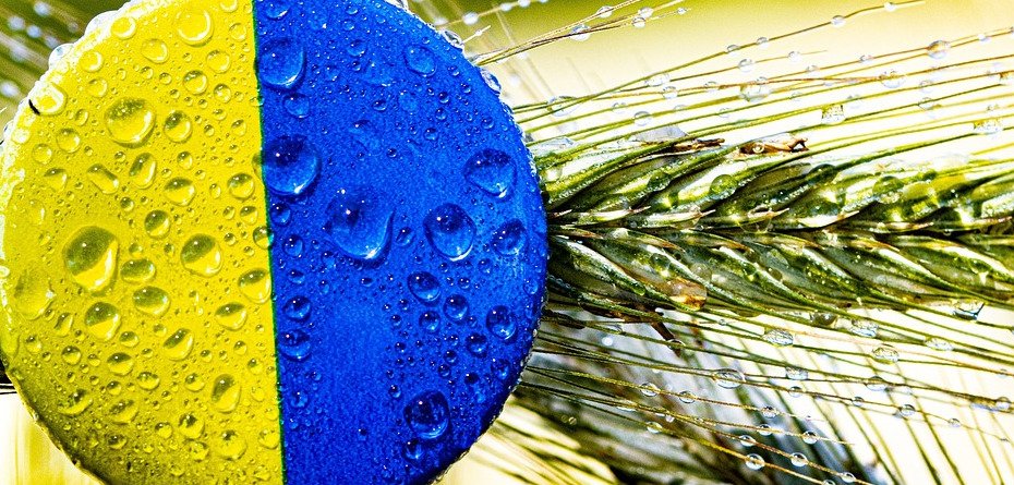 zakaz-importu-z-Ukrainy-Pixabay