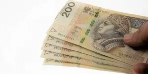 Dopłaty 2023 za ekoschematy - banknoty - złotówki - money
