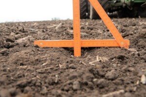 głębokość siewu żyta KWS