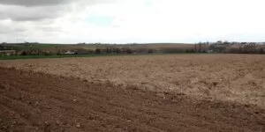Klasyfikacja gruntów - pole - wiosna