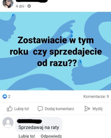 Rzepak z&nbsp;nowych zbiorów