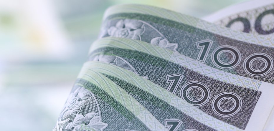 Stawka dopłaty do materiału siewnego - pieniądze - banknoty