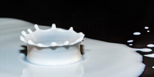 Jakie ceny mleka w lipcu 2023?