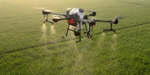 Czego inteligentne rolnictwo wymaga od polskiego rolnika?