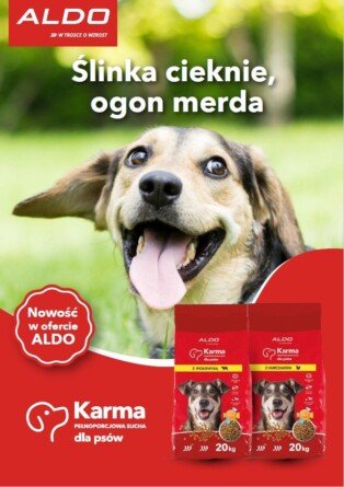 Sucha karma dla psów od ALDO