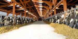 Modernizacja gospodarstw rolnych 2023 — wkrótce koniec naboru