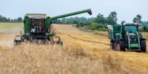 MARS: Średnie plony zbóż 2023 i&nbsp;rzepaku w&nbsp;Polsce