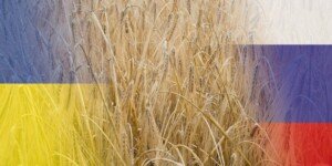 Politycy dla AgroFakt.pl: Trwa wojna żywnościowa!