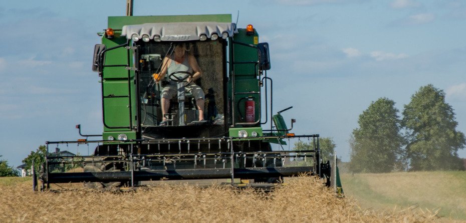 Żniwa rzepaku 2023 czas start! Gdzie już koszą?