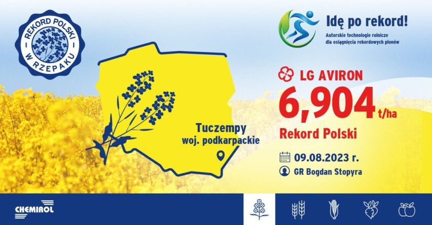 Nowy-rekord-Polski - odmiana rzepaku ozimego LG Aviron