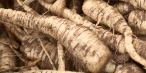 Ceny pietruszki wciąż wysokie. A&nbsp;ile za inne korzeniowe?